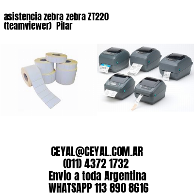 asistencia zebra zebra ZT220 (teamviewer)  Pilar