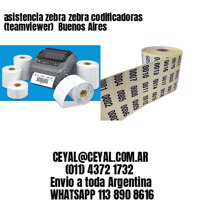 asistencia zebra zebra codificadoras (teamviewer)  Buenos Aires