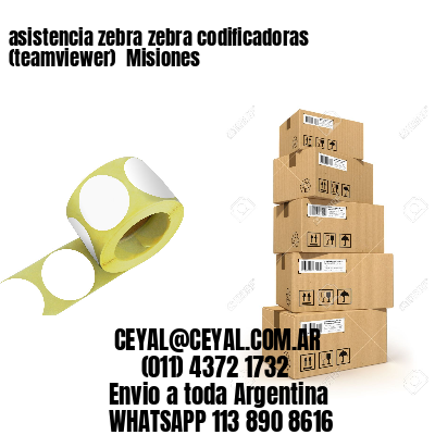 asistencia zebra zebra codificadoras (teamviewer)  Misiones
