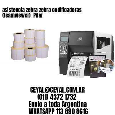 asistencia zebra zebra codificadoras (teamviewer)  Pilar