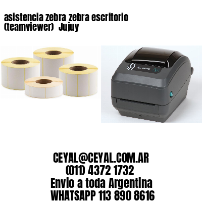 asistencia zebra zebra escritorio (teamviewer)  Jujuy