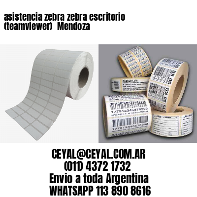 asistencia zebra zebra escritorio (teamviewer)  Mendoza