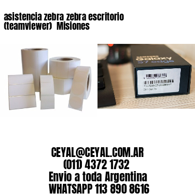 asistencia zebra zebra escritorio (teamviewer)  Misiones