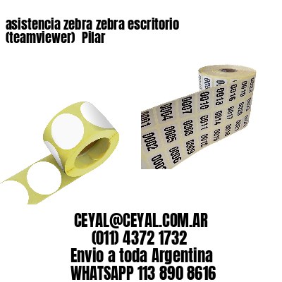 asistencia zebra zebra escritorio (teamviewer)  Pilar