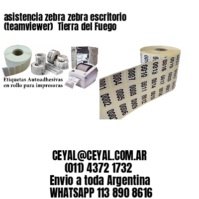 asistencia zebra zebra escritorio (teamviewer)  Tierra del Fuego