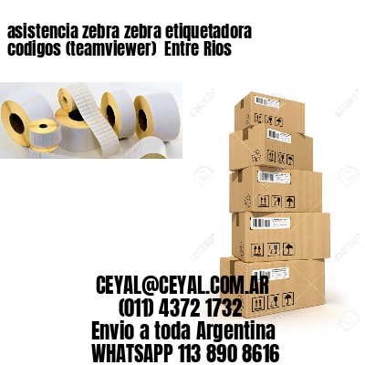 asistencia zebra zebra etiquetadora codigos (teamviewer)  Entre Rios