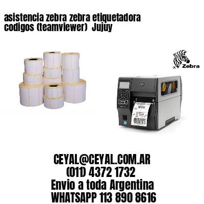 asistencia zebra zebra etiquetadora codigos (teamviewer)  Jujuy