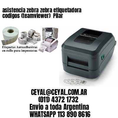 asistencia zebra zebra etiquetadora codigos (teamviewer)  Pilar