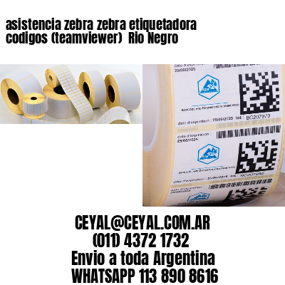 asistencia zebra zebra etiquetadora codigos (teamviewer)  Rio Negro