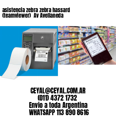 asistencia zebra zebra hassard (teamviewer)  Av Avellaneda