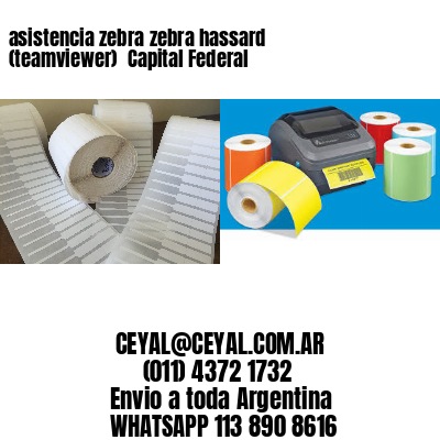 asistencia zebra zebra hassard (teamviewer)  Capital Federal