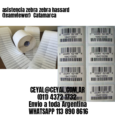 asistencia zebra zebra hassard (teamviewer)  Catamarca