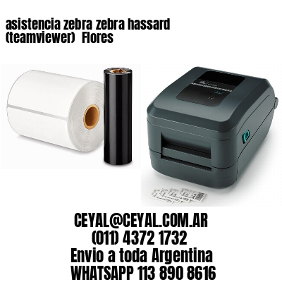 asistencia zebra zebra hassard (teamviewer)  Flores