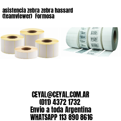 asistencia zebra zebra hassard (teamviewer)  Formosa