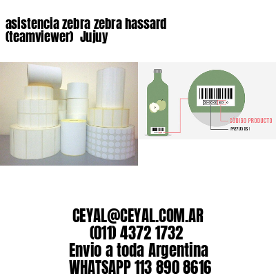 asistencia zebra zebra hassard (teamviewer)  Jujuy