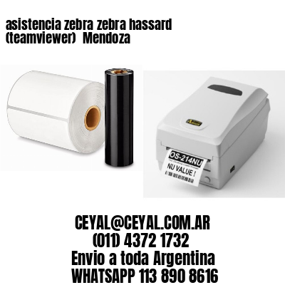 asistencia zebra zebra hassard (teamviewer)  Mendoza