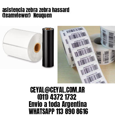 asistencia zebra zebra hassard (teamviewer)  Neuquen