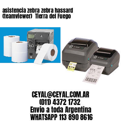 asistencia zebra zebra hassard (teamviewer)  Tierra del Fuego