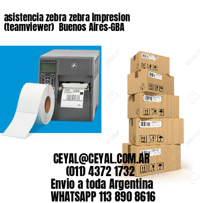 asistencia zebra zebra impresion (teamviewer)  Buenos Aires-GBA