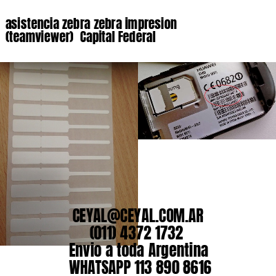 asistencia zebra zebra impresion (teamviewer)  Capital Federal
