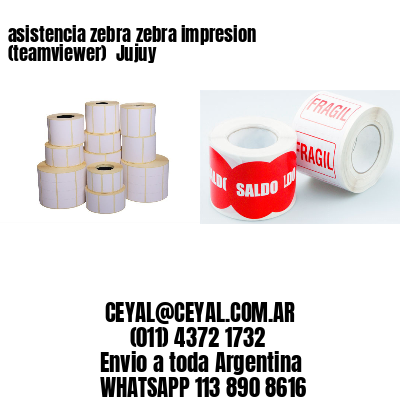 asistencia zebra zebra impresion (teamviewer)  Jujuy