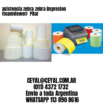 asistencia zebra zebra impresion (teamviewer)  Pilar