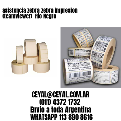 asistencia zebra zebra impresion (teamviewer)  Rio Negro