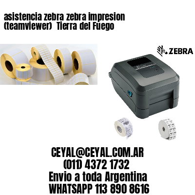 asistencia zebra zebra impresion (teamviewer)  Tierra del Fuego