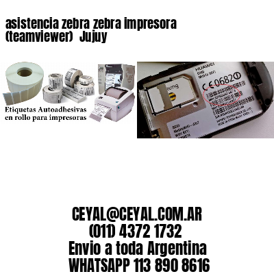 asistencia zebra zebra impresora (teamviewer)  Jujuy
