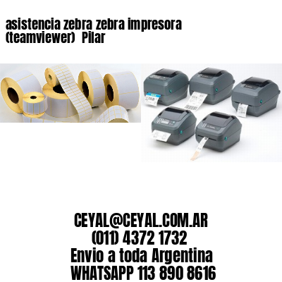 asistencia zebra zebra impresora (teamviewer)  Pilar
