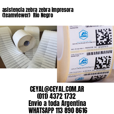 asistencia zebra zebra impresora (teamviewer)  Rio Negro