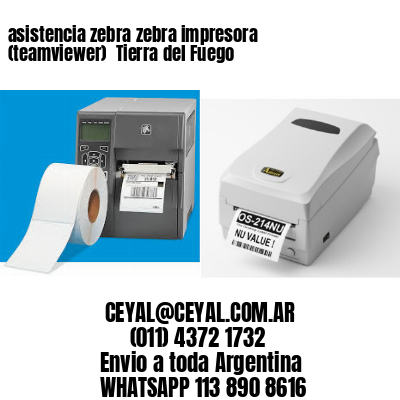 asistencia zebra zebra impresora (teamviewer)  Tierra del Fuego