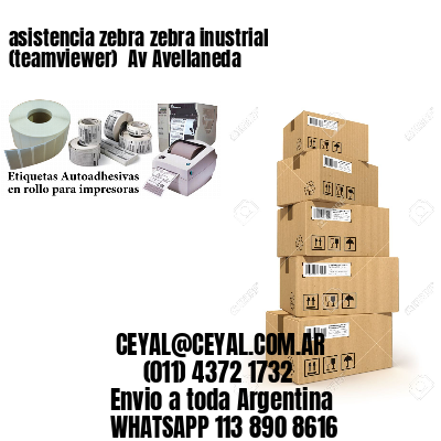 asistencia zebra zebra inustrial (teamviewer)  Av Avellaneda