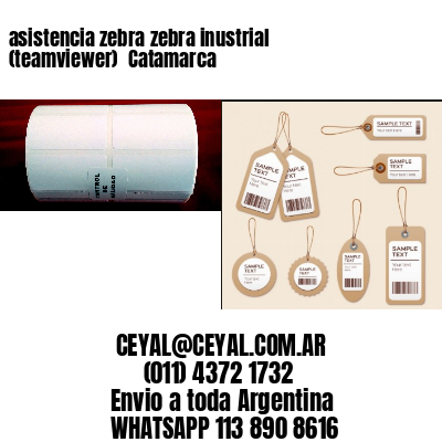asistencia zebra zebra inustrial (teamviewer)  Catamarca
