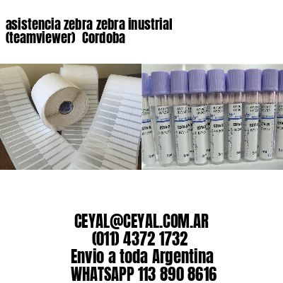 asistencia zebra zebra inustrial (teamviewer)  Cordoba
