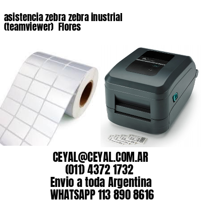 asistencia zebra zebra inustrial (teamviewer)  Flores