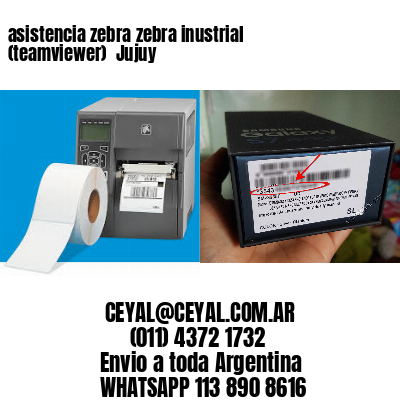 asistencia zebra zebra inustrial (teamviewer)  Jujuy