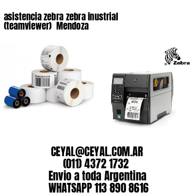 asistencia zebra zebra inustrial (teamviewer)  Mendoza