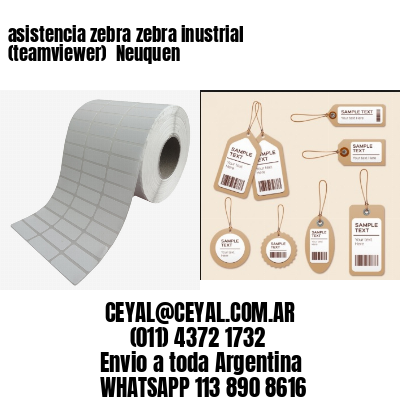 asistencia zebra zebra inustrial (teamviewer)  Neuquen