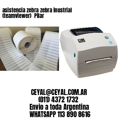 asistencia zebra zebra inustrial (teamviewer)  Pilar