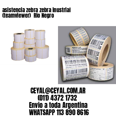 asistencia zebra zebra inustrial (teamviewer)  Rio Negro