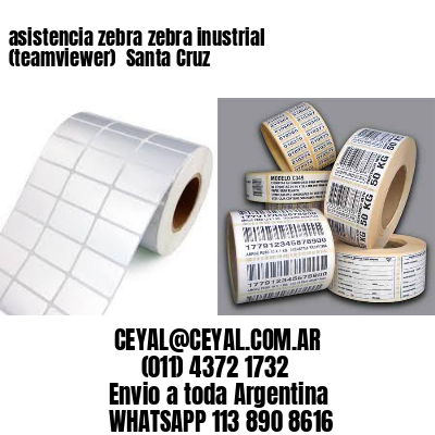 asistencia zebra zebra inustrial (teamviewer)  Santa Cruz