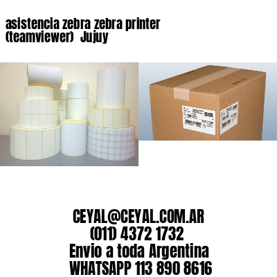 asistencia zebra zebra printer (teamviewer)  Jujuy