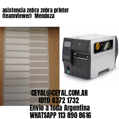 asistencia zebra zebra printer (teamviewer)  Mendoza