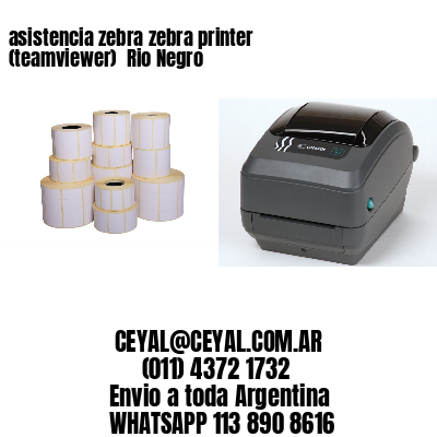 asistencia zebra zebra printer (teamviewer)  Rio Negro