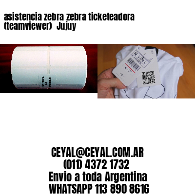 asistencia zebra zebra ticketeadora (teamviewer)  Jujuy