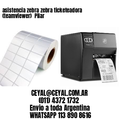 asistencia zebra zebra ticketeadora (teamviewer)  Pilar