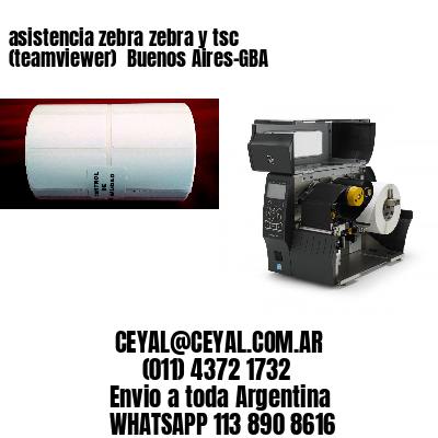 asistencia zebra zebra y tsc (teamviewer)  Buenos Aires-GBA
