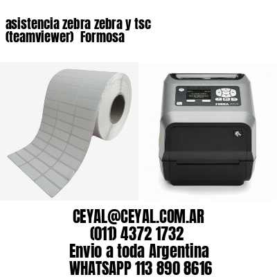 asistencia zebra zebra y tsc (teamviewer)  Formosa