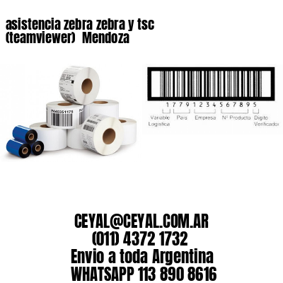 asistencia zebra zebra y tsc (teamviewer)  Mendoza